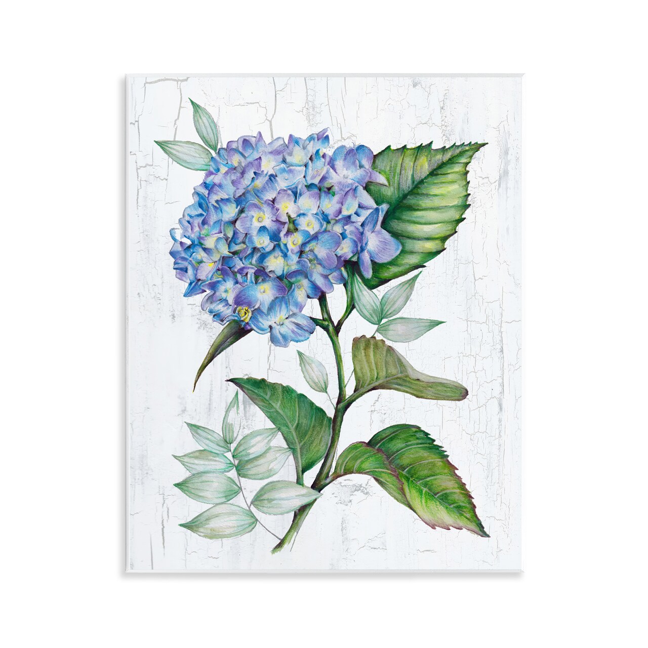 Stupell Industries English Manor Hydrangea Wall Plaque Art Design by Levison Design